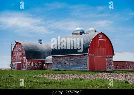 Grange rouge traditionnelle et une grande grange au toit argenté sous un ciel bleu avec des nuages, entourée d'un champ vert. Banque D'Images