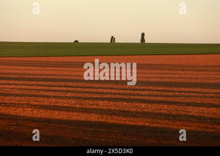 Halberstadt, Allemagne. 09 mai 2024. La lumière du soleil levant projette de longues ombres sur une zone agricole dans les montagnes du Harz. Beaucoup de soleil est attendu toute la journée le jour de l'Ascension. Il y aura un mélange de soleil et de nuages dans les prochains jours. Il restera chaud. Crédit : Matthias Bein/dpa/Alamy Live News Banque D'Images