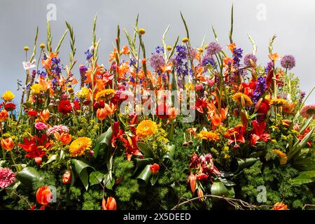 Bloemencorso Haarlem 2024. Le Bloemencorso du Bollenstreek est le plus grand festival de printemps des pays-Bas. Banque D'Images