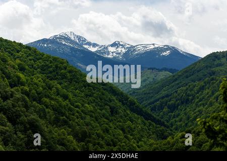 Sommets enneigés des montagnes Retezat dans le comté de Hunedoara, Transylvanie, Roumanie, nuages blancs au-dessus, en plein jour, vu du sommet d'une colline en mai. Banque D'Images