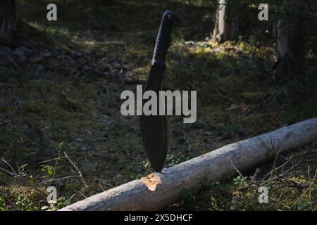 Un grand couteau kukri noir tactique est coincé dans un arbre sec tombé dans la forêt. Banque D'Images