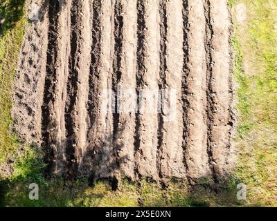 Drone aérien vue de haut en bas du champ de pommes de terre préparé pour la culture dans un petit jardin à l'ancienne. Banque D'Images