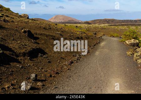 Sentier autour du Montana Colorada. Le chemin entre le champ de lave. Île de Lanzarote, îles Canaries, Espagne, Europe Banque D'Images