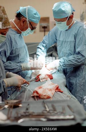 Veterenärmediziner und Biologen BEI einer Operation an einem Primaten im Yerkes National Primate Research Center in Atlanta, um 1978. / Vétérinaires et biologistes pendant la chirurgie sur un primate au Yerkes National Primate Research Center à Atlanta, vers 1978. Photographie instantanée/A. Aldrige *** vétérinaires et biologistes pendant la chirurgie sur un primate au Yerkes National Primate Research Center à Atlanta, vers 1978 vétérinaires et biologistes pendant la chirurgie sur un primate au Yerkes National Primate Research Center à Atlanta, vers 1978 photographie A Aldrige Banque D'Images