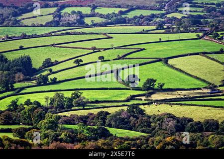 Paysage du parc national de Dartmoor près de Widecombe aka Widecombe dans le village de Moor vu de l'est de Top Tor, Devon Angleterre. Champs agricoles sous landes Banque D'Images