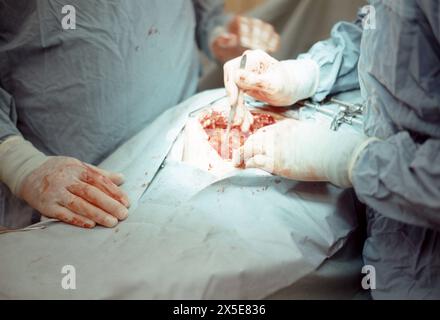 Veterenärmediziner und Biologen BEI einer Operation an einem Primaten im Yerkes National Primate Research Center in Atlanta, um 1978. / Vétérinaires et biologistes pendant la chirurgie sur un primate au Yerkes National Primate Research Center à Atlanta, vers 1978. Photographie instantanée/A. Aldrige *** vétérinaires et biologistes pendant la chirurgie sur un primate au Yerkes National Primate Research Center à Atlanta, vers 1978 vétérinaires et biologistes pendant la chirurgie sur un primate au Yerkes National Primate Research Center à Atlanta, vers 1978 photographie A Aldrige Banque D'Images