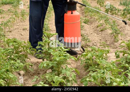 Un homme tient dans ses mains un récipient, un récipient pour une solution et un pulvérisateur, à l'aide duquel l'homme détruit les insectes nuisibles dans le jardin. Banque D'Images