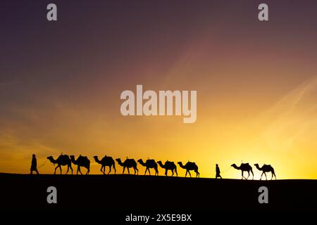 Silhouette lever de soleil de chameaux et de manutentionnaires, dans les dunes de sable de Merzouga, le désert du Sahara, Maroc Banque D'Images