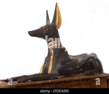 Le Dieu chacal Anubis, représenté dans une sculpture en pierre. Trouvé dans les sculptures et les inscriptions, tout le chemin de la première dynastie. Musée du Caire, Égypte Banque D'Images