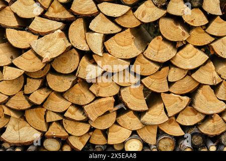 Vue rapprochée d'un tas de bois de chauffage soigneusement empilé Banque D'Images