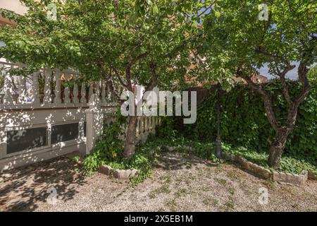 un patio avec des sols en gravier blanc avec balustrade en ciment blanc sur les escaliers et la terrasse, de nombreuses plantes, une lanterne et quelques arbres avec leurs fosses d'arbres Banque D'Images