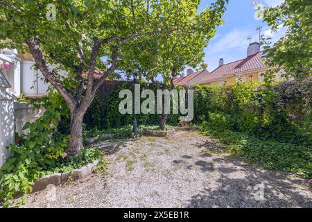 un patio avec des sols en gravier blanc avec balustrade en ciment blanc sur les escaliers et la terrasse, de nombreuses plantes, une lanterne et quelques arbres avec leurs fosses d'arbres et un Banque D'Images