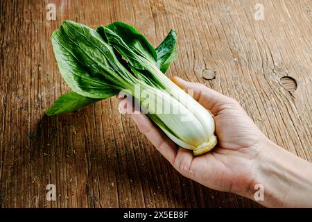 gros plan d'un homme avec un bok choy à la main, sur une table en bois rustique Banque D'Images