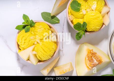 Boules de glace de melon faites maison dans des bols en forme de porc, avec des tranches de melon de cantalupa frais et des feuilles de menthe Banque D'Images