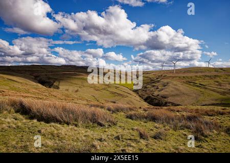 Début du printemps dans les West Pennines Banque D'Images