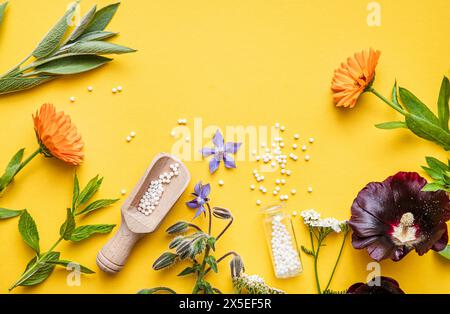 Vue au-dessus des pilules de médecine homéopathique dans des pots et renversés autour sur fond jaune, décoré avec diverses herbes et plantes fraîches. Banque D'Images