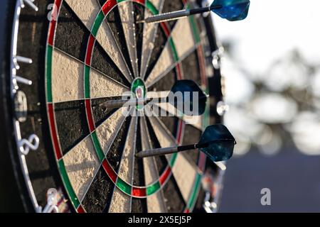 Un portrait d'un jeu de fléchettes dehors par une journée ensoleillée, avec des fléchettes collées dedans. le taureau est également visible. les fléchettes sont prêtes à être lancées dans un jeu Banque D'Images