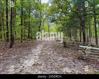 Un sentier de randonnée le long de la Natchexz trace Parkway lors d'une journée ensoleillée d'automne en octobre. Banque D'Images