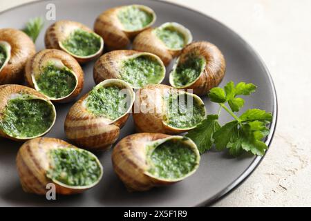 Délicieux escargots cuits au persil sur la table lumineuse, gros plan Banque D'Images