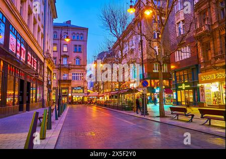 BUDAPEST, HONGRIE - 3 MARS 2022 : la célèbre rue touristique Vaci dans les lumières du soir, Budapest, Hongrie Banque D'Images