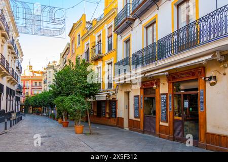 Vue du matin devant les touristes et les clients d'une rangée de restaurants et cafés dans la région historique de Barrio Santa Cruz de Séville, Espagne, Andalousie. Banque D'Images