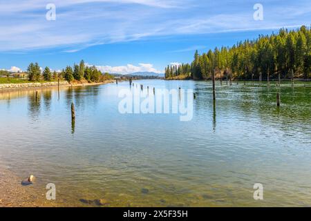 Vue sur la rive de la rivière Spokane qui traverse une zone forestière rurale sur son chemin vers le centre-ville de coeur d'Alene, Idaho USA. Banque D'Images