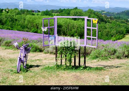 Un vélo violet et une fenêtre qui encadre parfaitement le paysage à couper le souffle des collines ondulantes et des champs de lavande en fleurs, Sale San Giovanni, Louisiane Banque D'Images