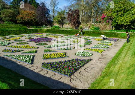 Comté de Castleward Down Irlande du Nord 15 mars 2024 - deux femmes jardinières aménagent un jardin creusé dans le comté de Castleward Down Banque D'Images