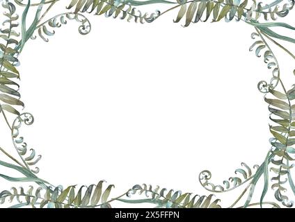 Cadre floral avec fougère et herbes isolé sur fond blanc. Peint à la main avec des aquarelles. Banque D'Images