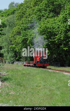 'Elidir' près de Bedw Argoed avec un court train de wagons d'ardoise. Banque D'Images