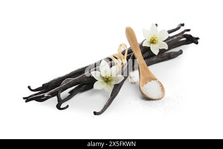 Gousses de vanille, cuillère au sucre et fleurs isolées sur blanc Banque D'Images