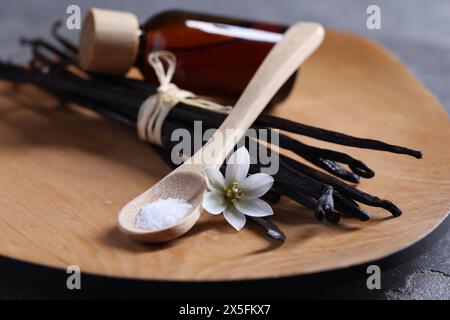 Cuillère de sucre, fleur, gousses de vanille et bouteille d'huile essentielle sur la table grise, gros plan Banque D'Images