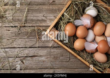 Oeufs de poule frais et foin séché dans une caisse sur une table en bois, vue de dessus. Espace pour le texte Banque D'Images