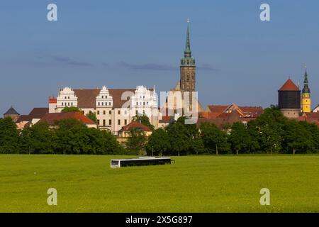 Stadtansicht Bautzen Bautzen, obersorbisch BudyÅin, ist eine Große Kreisstadt in Ostsachsen. Die Stadt liegt an der Spree und ist Kreissitz des nach ihr benannten Landkreises Bautzen. Mit rund 38,000 Einwohnern ist Bautzen zugleich die größte Stadt des Kreises und die zweitgrößte der Oberlausitz sowie deren historische Hauptstadt. Obwohl in der Stadt im sorbischen Siedlungsgebiet selbst nur eine sorbische Minderheit von 5 bis 10 % der Bevölkerung wohnt, ist sie das politische und kulturelle Zentrum der Sorben. Ein bus fährt durch hohe Rapsfelder in die Stadt. Bautzen Sachsen Deutschland *** ci Banque D'Images