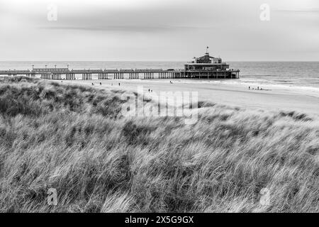 Jetée de Blankenberge avec plage et mer du Nord vue des dunes de sable en noir et blanc, Flandre occidentale, Belgique. Banque D'Images