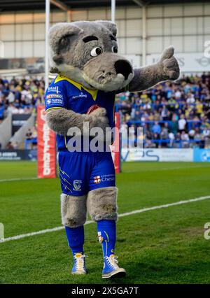 Wolfie, mascotte des Warrington Wolves, lors du match de Betfred Super League au Halliwell Jones Stadium, Warrington. Date de la photo : jeudi 9 mai 2024. Banque D'Images