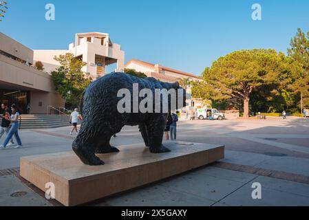 La statue de l'ours Bruin à l'UCLA sur le campus de l'UCLA. Banque D'Images