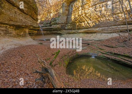 Lumière du matin tachetée dans un canyon caché de LaSalle Canyon dans le parc d'État de Starved Rock dans l'Illinois Banque D'Images