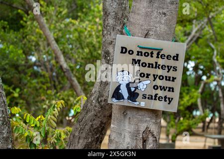 Signalisation dans une station balnéaire au Sri Lanka avertissant de ne pas nourrir les singes. Banque D'Images