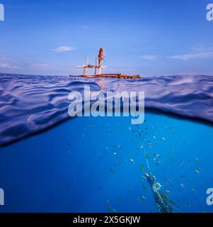 Image fractionnée de poissons abritant sous une structure flottante en bambou au large de la République démocratique du Timor-Leste. Ce FAD fait partie d'un agrégat de poissons Banque D'Images