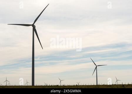 Une rangée d'éoliennes sont dans un champ. Le ciel est nuageux et le vent souffle Banque D'Images