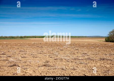 Image d'un champ labouré avec des sillons sur un après-midi ensoleillé avec un ciel bleu en serbie, à berkasovo, debout à côté d'un champ d'herbe Banque D'Images