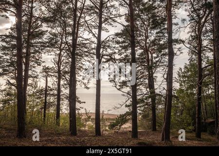 Photo de la mer Baltique sur la plage de Saulkrasti en Lettonie. Saulkrasti est une ville en Lettonie sur la côte est du golfe de Riga et la capitale o Banque D'Images