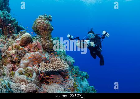 Un photographe (MR) s’aligne avec un reflex dans un logement sur un récif de corail au large de l’île de Yap, en Micronésie. Banque D'Images