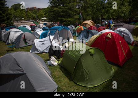 Madrid, Espagne. 09 mai 2024. Un étudiant lit un livre au milieu des tentes, lors d’un camp étudiant sur le campus de l’Université Complutense de Madrid, exigeant que le génocide avec le peuple palestinien cesse. Des étudiants de différentes facultés de l’Université Complutense de Madrid (UCM) ont installé un camp à durée indéterminée dans le but de montrer leur soutien au peuple palestinien et d’exiger la fin du génocide dans la bande de Gaza. Crédit : SOPA images Limited/Alamy Live News Banque D'Images