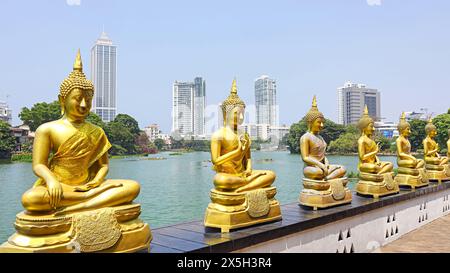 Statues de Lord Buddhas dans la rangée de Gangarama Sima Malaka, Colombo, Sri Lanka. Banque D'Images