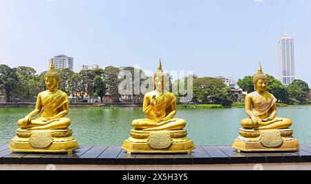 Statues du Seigneur Bouddha dans différentes poses, Gangarama Sima Malaka, Colombo, Sri Lanka. Banque D'Images