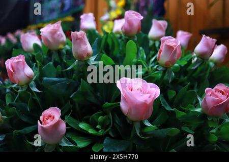 Mexico, Mexique. 09 mai 2024. Des arrangements floraux sont vus au marché Jamaiquita à Iztapalapa qui sont offerts aux gens avant les célébrations de la fête des mères. Le 9 mai 2024 à Mexico, Mexique. (Photo de Carlos Santiago/Eyepix Group/SIPA USA) crédit : SIPA USA/Alamy Live News Banque D'Images