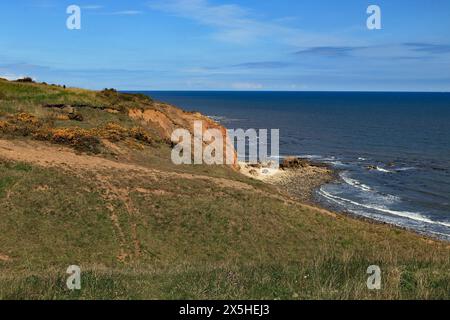 Vue en bas du sentier côtier le long de la côte nord-est de l'Angleterre entre Sunderland et Hartlepool jusqu'à la ligne de côte accidentée d'Easington Beach Banque D'Images