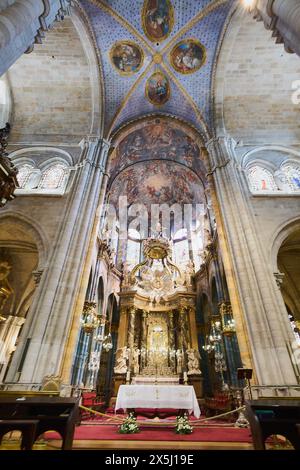Lugo, Espagne - 10 mai 2024 : la cathédrale de Lugo est présentée dans toute sa splendeur, montrant un autel richement décoré sous un éclairage subtil et élégant. Banque D'Images